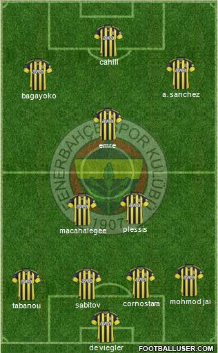 Fenerbahçe SK Formation 2011