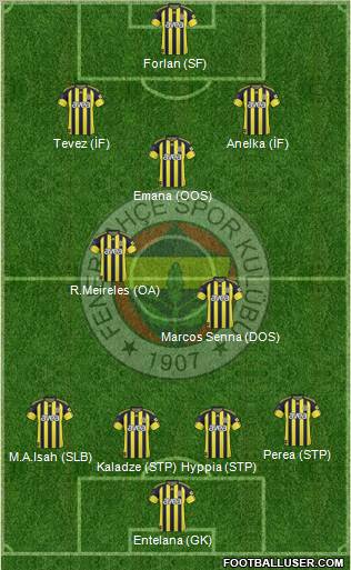 Fenerbahçe SK Formation 2011