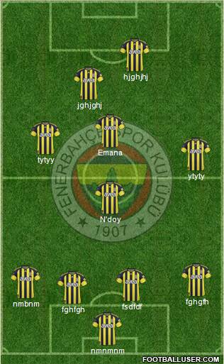 Fenerbahçe SK Formation 2011
