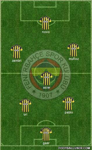 Fenerbahçe SK Formation 2011