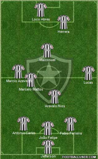 Botafogo FR Formation 2011