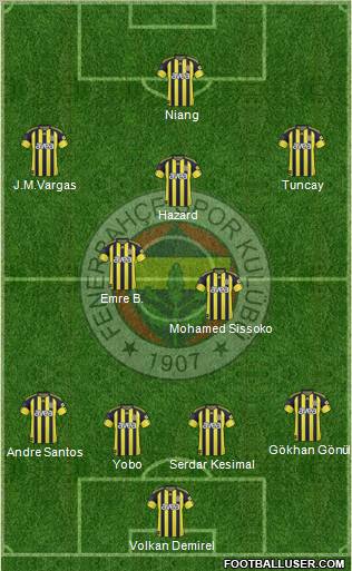 Fenerbahçe SK Formation 2011
