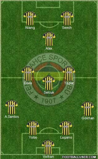 Fenerbahçe SK Formation 2011
