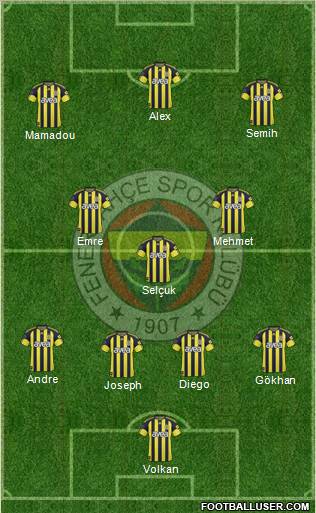 Fenerbahçe SK Formation 2011