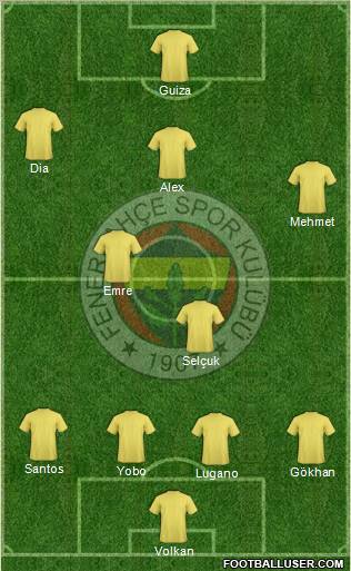 Fenerbahçe SK Formation 2011