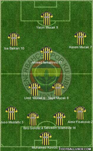 Fenerbahçe SK Formation 2011