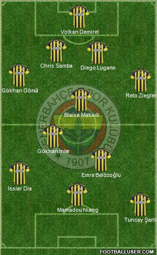 Fenerbahçe SK Formation 2011