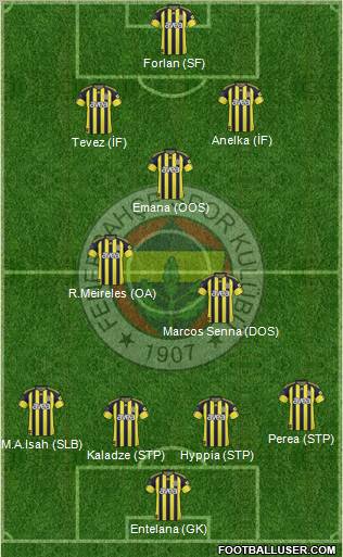 Fenerbahçe SK Formation 2011