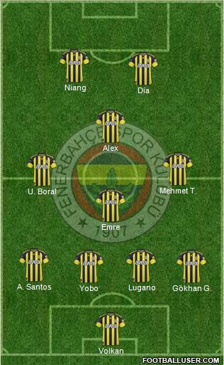 Fenerbahçe SK Formation 2011