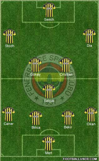 Fenerbahçe SK Formation 2011