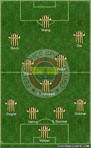 Fenerbahçe SK Formation 2011