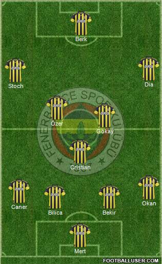 Fenerbahçe SK Formation 2011