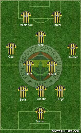 Fenerbahçe SK Formation 2011