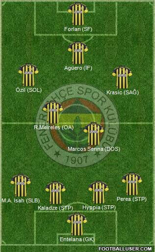 Fenerbahçe SK Formation 2011