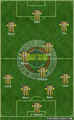 Fenerbahçe SK Formation 2011
