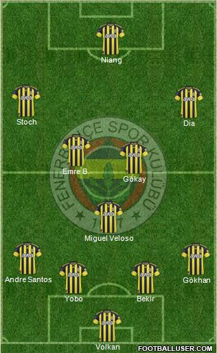 Fenerbahçe SK Formation 2011