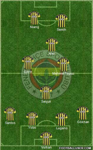Fenerbahçe SK Formation 2011