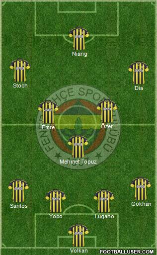 Fenerbahçe SK Formation 2011