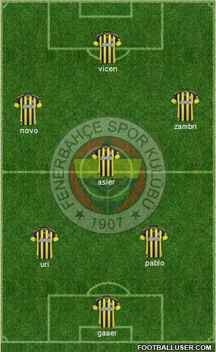 Fenerbahçe SK Formation 2011