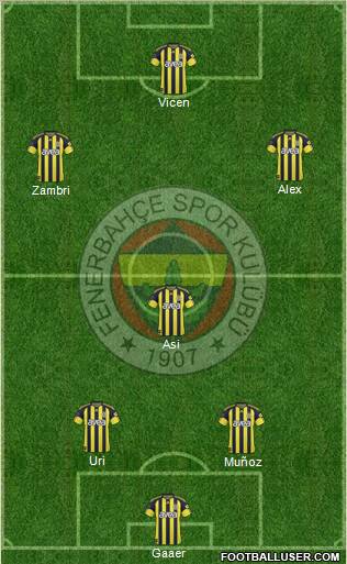 Fenerbahçe SK Formation 2011