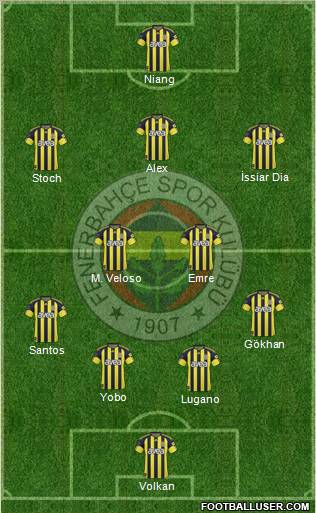 Fenerbahçe SK Formation 2011