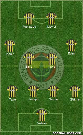 Fenerbahçe SK Formation 2011