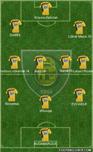 GKS Katowice Formation 2011