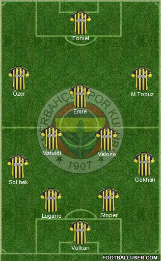 Fenerbahçe SK Formation 2011