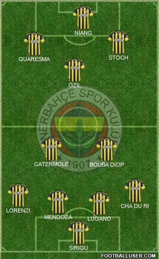 Fenerbahçe SK Formation 2011