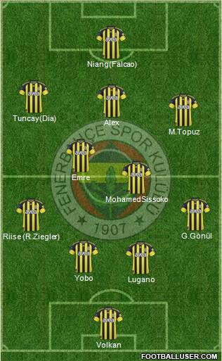 Fenerbahçe SK Formation 2011