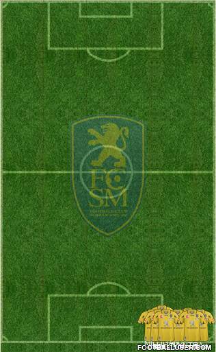 FC Sochaux-Montbéliard Formation 2011