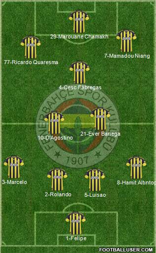 Fenerbahçe SK Formation 2011