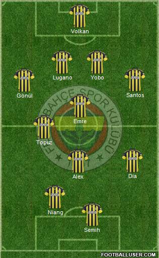 Fenerbahçe SK Formation 2011