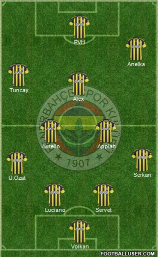 Fenerbahçe SK Formation 2011