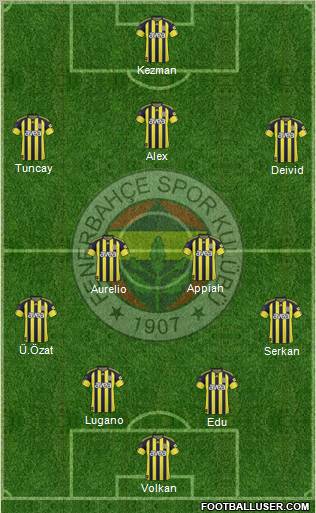 Fenerbahçe SK Formation 2011