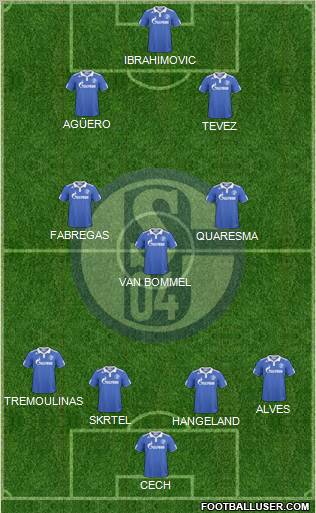 FC Schalke 04 Formation 2011