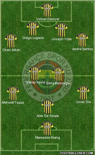 Fenerbahçe SK Formation 2011