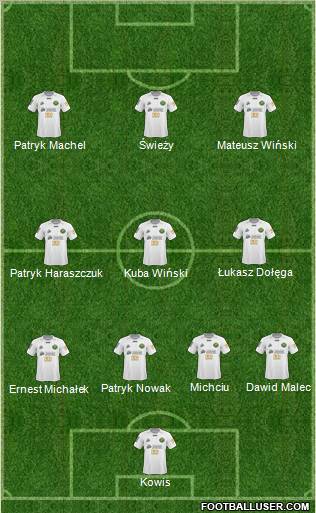 Gornik Leczna Formation 2011