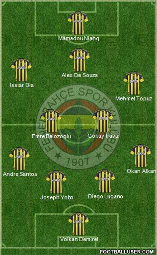 Fenerbahçe SK Formation 2011
