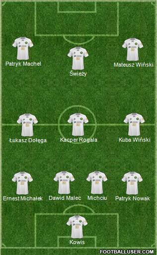 Gornik Leczna Formation 2011