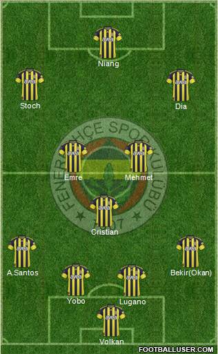 Fenerbahçe SK Formation 2011