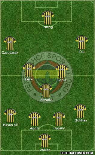 Fenerbahçe SK Formation 2011