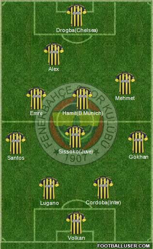 Fenerbahçe SK Formation 2011