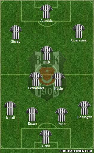 Besiktas JK Formation 2011