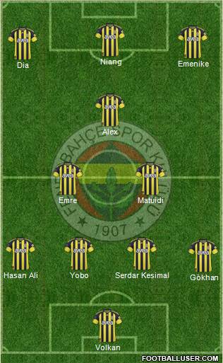 Fenerbahçe SK Formation 2011
