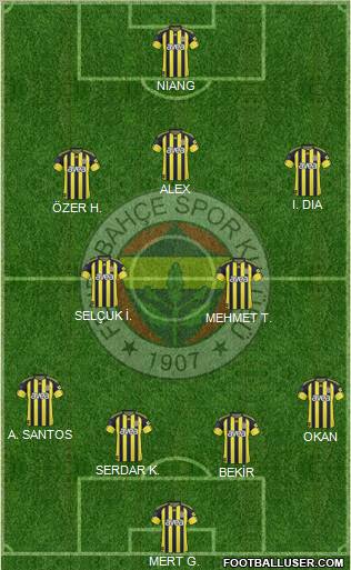 Fenerbahçe SK Formation 2011