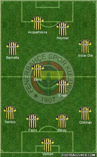 Fenerbahçe SK Formation 2011