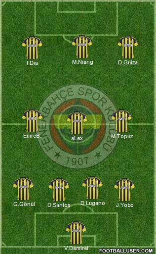 Fenerbahçe SK Formation 2011