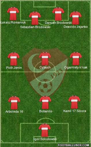 Turkey Formation 2011