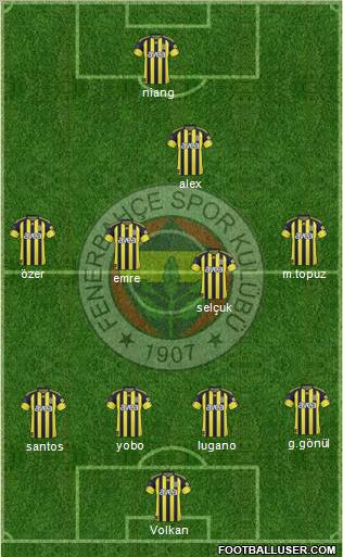 Fenerbahçe SK Formation 2011